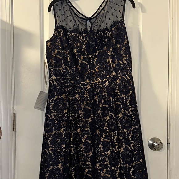 Elegant Navy Lace Dress with Polka Dot Mesh - Picture 7 of 7